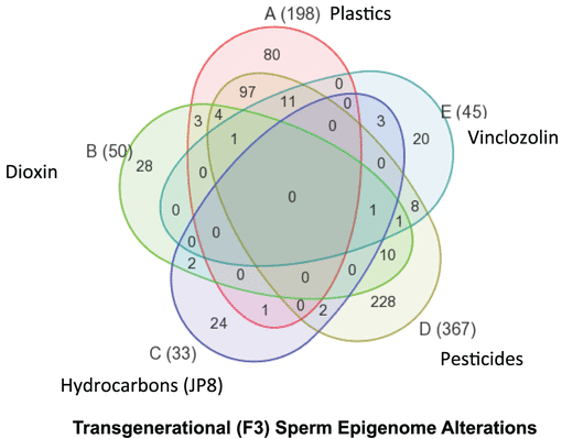 Mutagenic research colchicine sperm